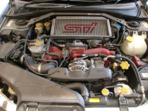 CIMG2537